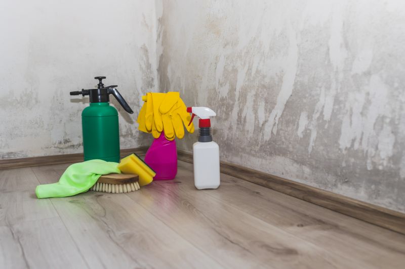 Mold Removal in Boca Raton, FL