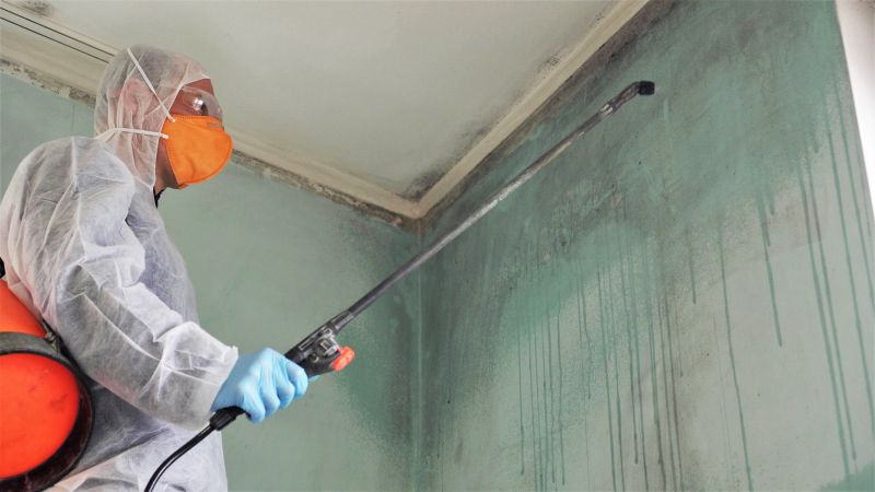 Mold Restoration in Dallas, TX
