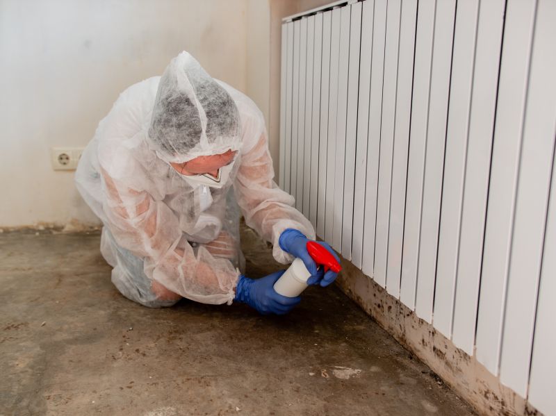 White Mold Mitigation in Boca Raton, FL