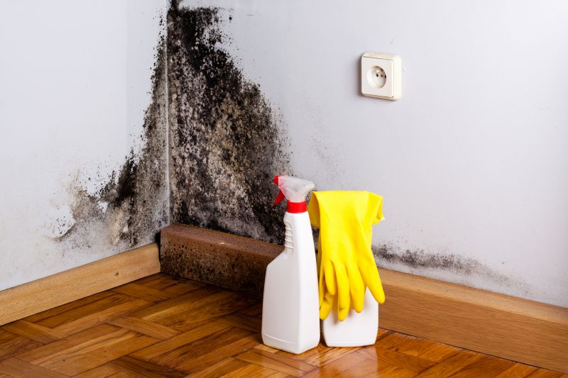 Black Mold Remediation in Boca Raton, FL