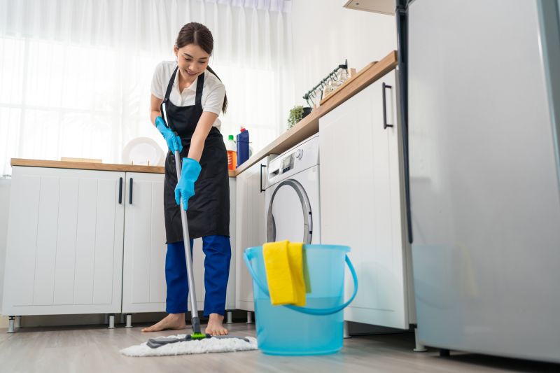 Kitchen Cleaning in Puyallup, WA