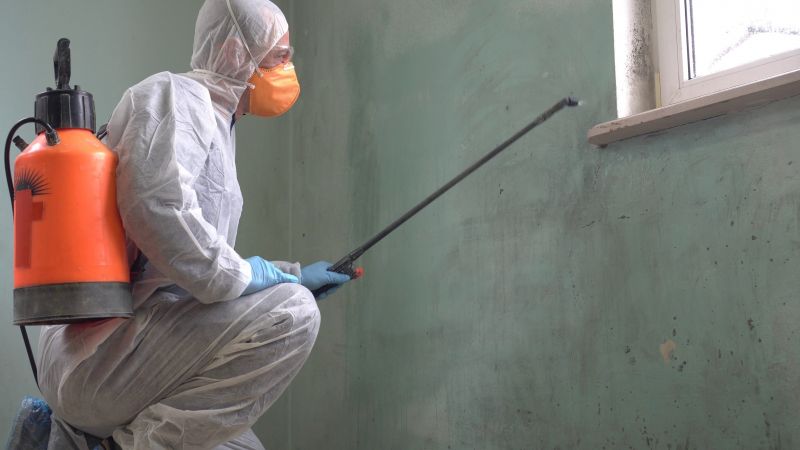 Mold Abatement in Fort Lauderdale, FL