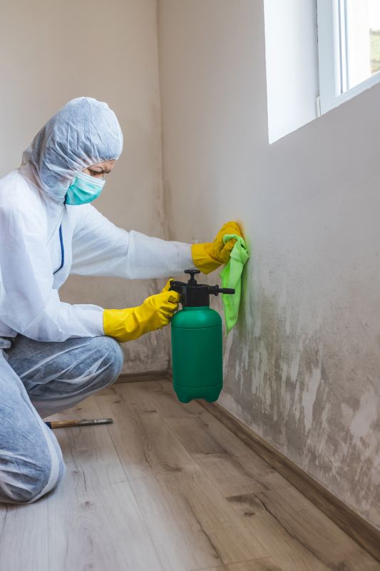 Mold Removal in Essex County, NJ