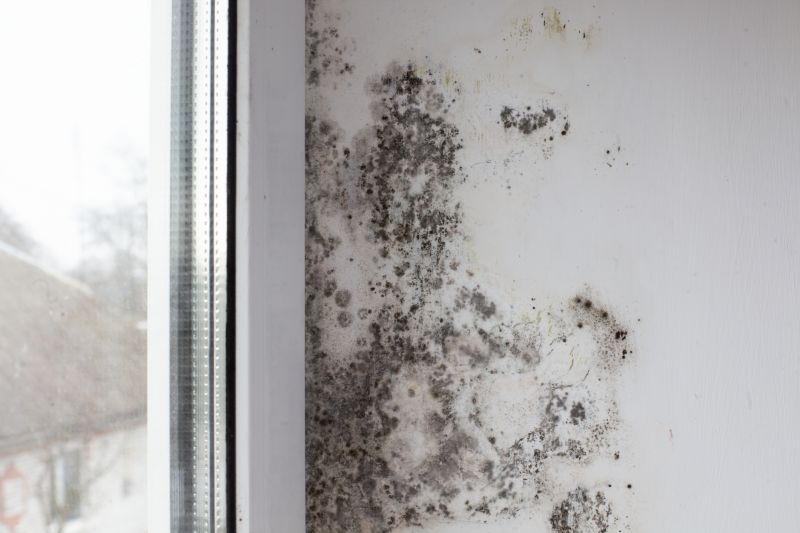 White Mold Mitigation in Dallas, TX